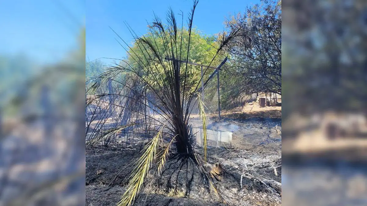 Incendios de maleza ocurridos en el valle local y en el de Mexicali, cerca de Colonias Nuevas, fueron combatidos por los Bomberos Voluntarios